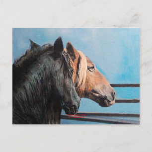 Caballos/Cabalos/Pferde Postkarte