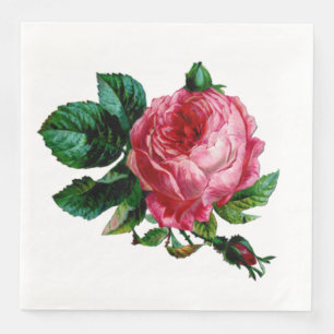 Cabbage Rose Paper Napkins Serviette