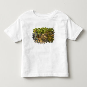 Cabernet Sauvignon in Folge Kleinkind T-shirt