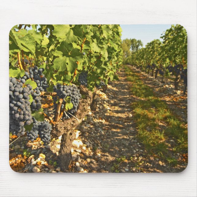 Cabernet Sauvignon in Folge Mousepad (Vorne)