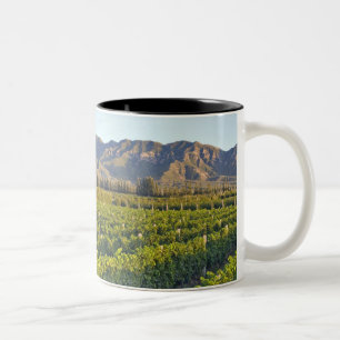 Cabernet Sauvignon-Reben in Huailai Rongchen 2 Zweifarbige Tasse