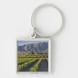 Cabernet Sauvignon-Reben in Huailai Rongchen Schlüsselanhänger