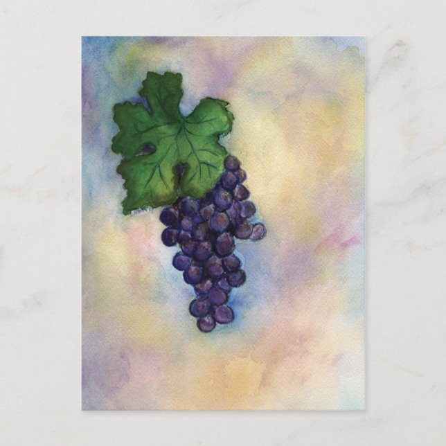 Cabernet Sauvignon Roter Wein Weintrauben Postkart Postkarte (Vorderseite)