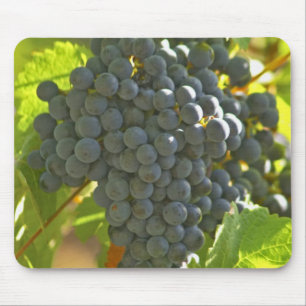 Cabernet Sauvignon Traubchen im Schloss Mousepad