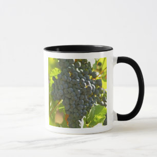 Cabernet Sauvignon Traubchen im Schloss Tasse