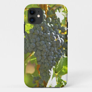 Cabernet Sauvignon Traube im Chateau iPhone 11 Hülle