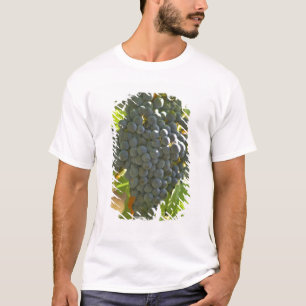Cabernet-Sauvignon-Traube im Chateau T-Shirt