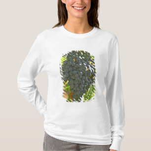 Cabernet Sauvignon Traube im Chateau T-Shirt