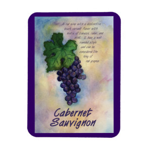 Cabernet Sauvignon Wine tasting in der Fattoria Mo Magnet