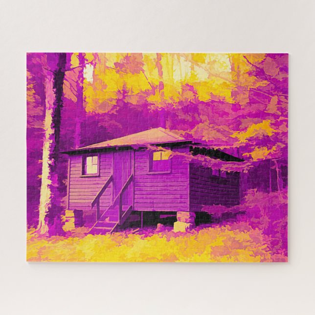 Cabin at Allegany Staat Park NY Abstrakt (Horizontal)