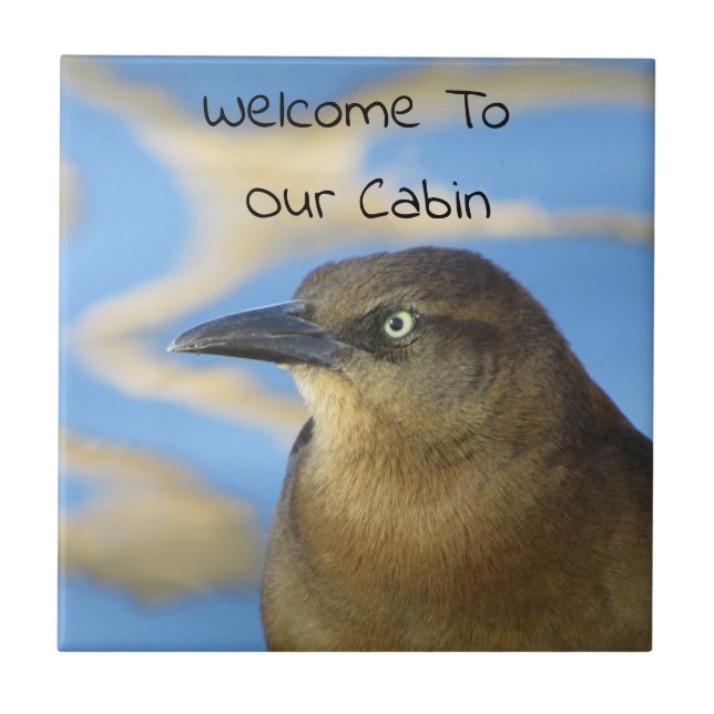 Cabin Welcome Blackbird Rustic Zuhause Guest Fliese (Vorderseite)