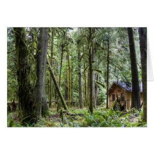 CABINE PNW