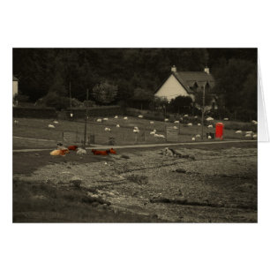 cabine téléphonique