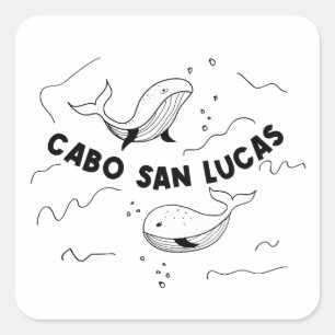 Cabo San Lucas Mexiko Wale Quadratischer Aufkleber