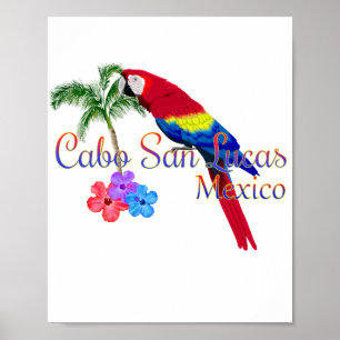 Cabo San Lucas Tropical Beach Poster