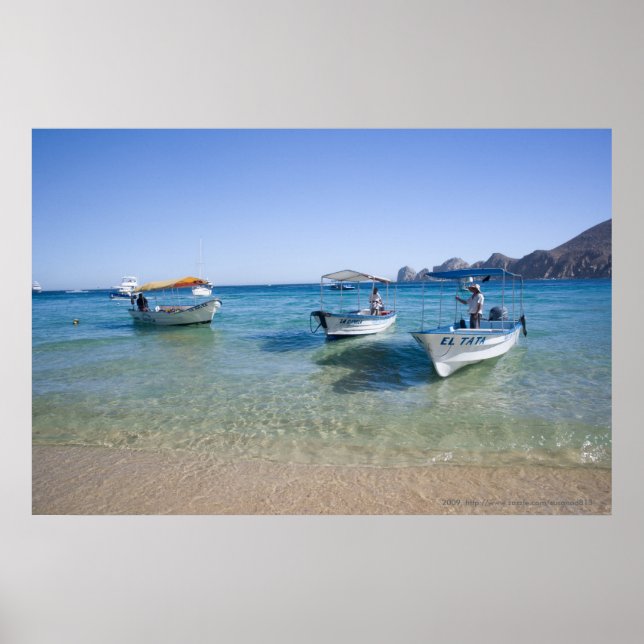Cabo Water Taxis Poster (Vorne)
