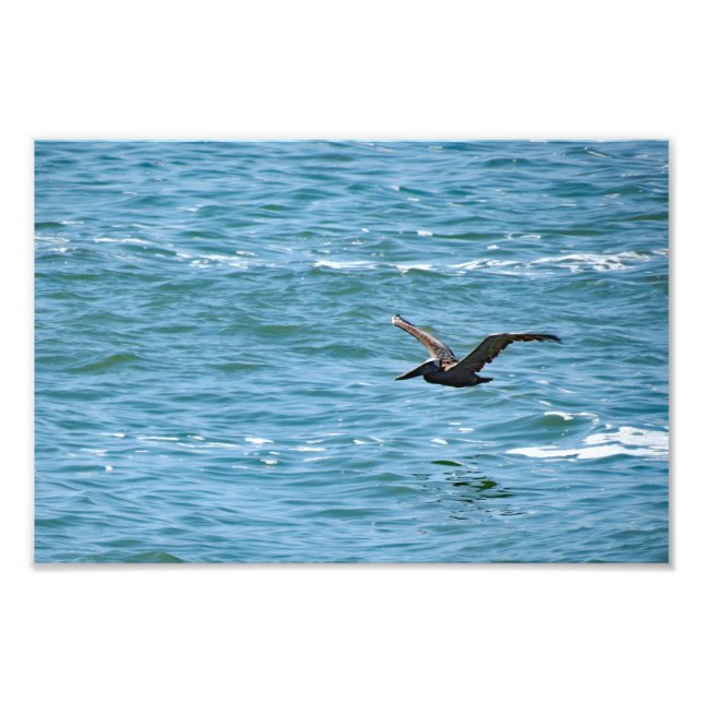 Cabrillo National Monument Fotodruck (Vorne)