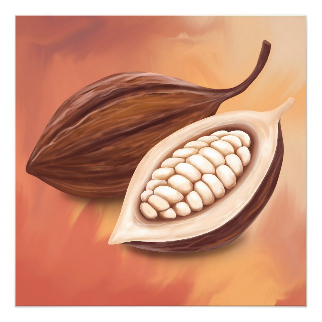 Cacao Pod Fotodruck (Vorne)