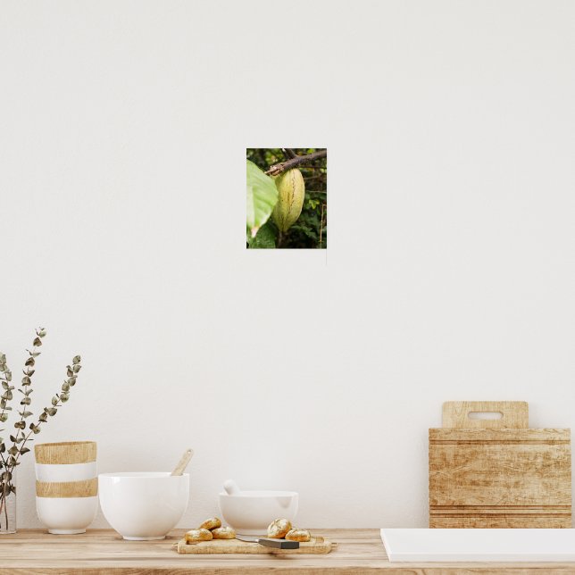 cacao pod poster (Küche)