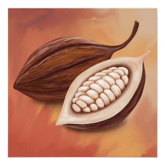 Cacao Pod Poster (Vorderseite)