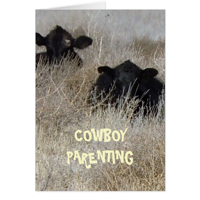 Cachez et allez recherche - Parenting de cowboy (Devant)
