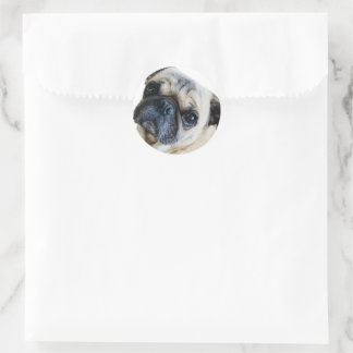 Cachorro Runder Aufkleber