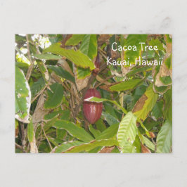 Cacoa Tree Postkarte