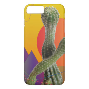 Cacti Apple iPhone 8/7, selten dort title_seo2