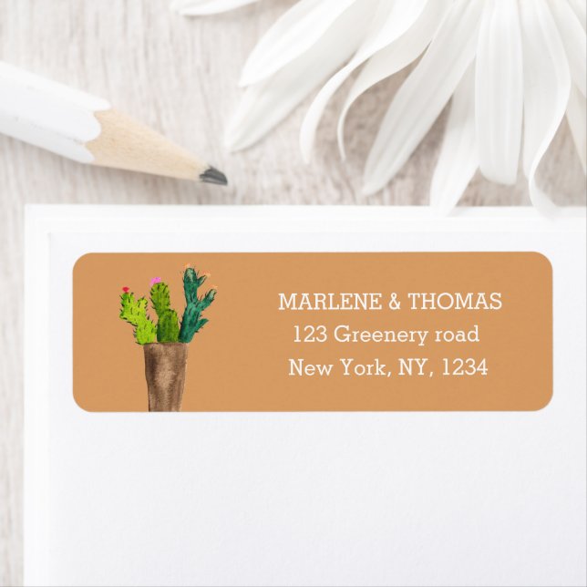 Cacti Cactus Desert Script Modern Sukkulent einfac (Insitu)