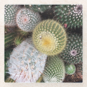 Cacti Glass Untersetzer