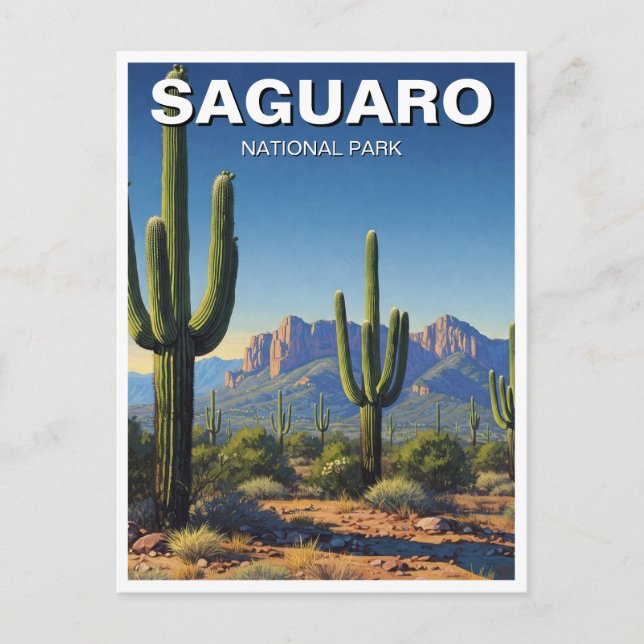 Cacti - Nationalpark Saguaro Postkarte (Vorderseite)