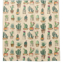 Cacti Pattern Pflanze Illustration