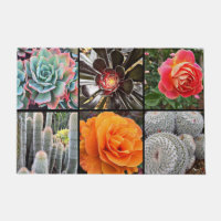 Cacti Rose Blume Foto Collage farbenfroh modern