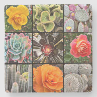 Cacti Rose Blume Fotografie Collage Modern Bold
