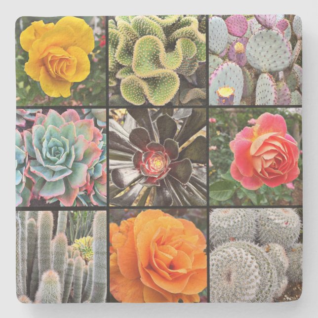 Cacti Rose Blume Fotografie Collage Modern Bold Steinuntersetzer (Vorderseite)