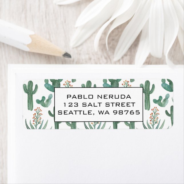 Cacti & Succulents Desert CUSTOM Mailadresse (Insitu)
