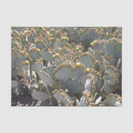 Cacti-Tissue-Papier Seidenpapier