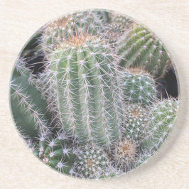 Cacti-Untersetzer Getränkeuntersetzer