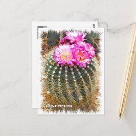 Cactus ポストカード postkarte