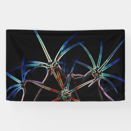 Cactus 1 bnra banner