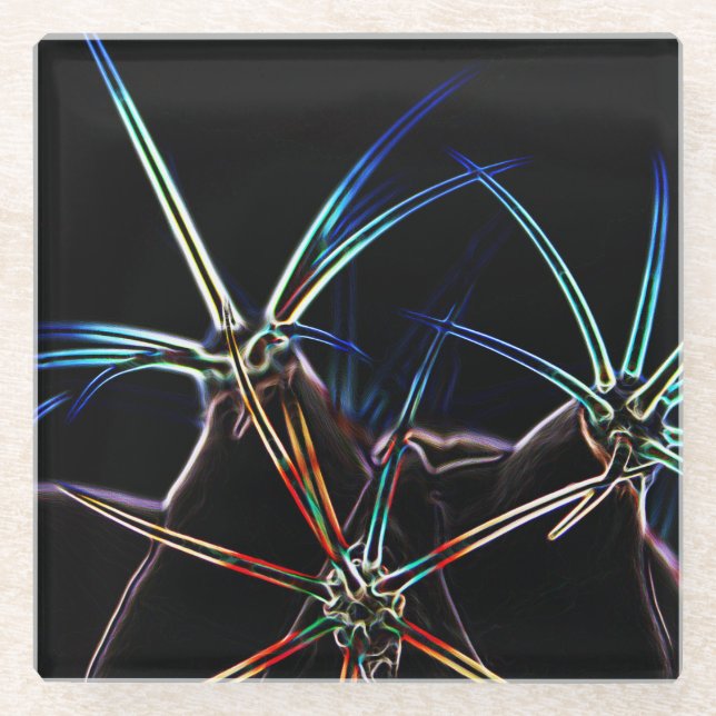 Cactus 1 Küstenercna Glasuntersetzer (Vorderseite)