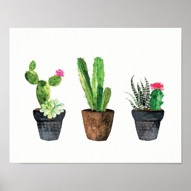 Cactus and Succulent Trio Two Poster (Vorne)