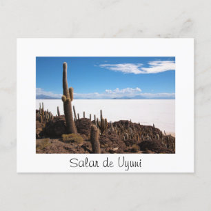 Cactus au Salar de Uyuni texte de la carte postale