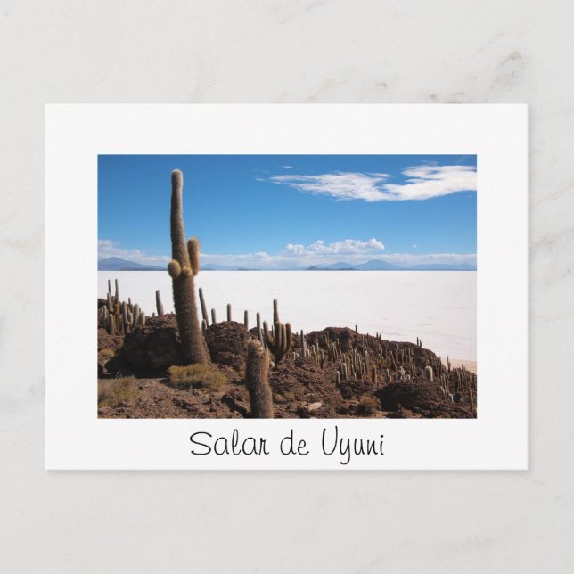 Cactus au Salar de Uyuni texte de la carte postale (Devant)