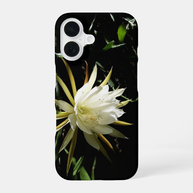 Cactus Bloom iPhone 16 Hülle (Rückseite)