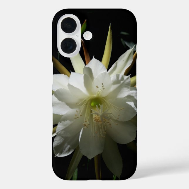 Cactus Bloom iPhone 16 Hülle (Rückseite)