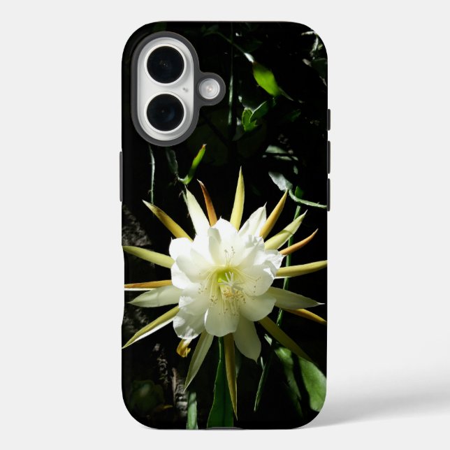 Cactus Bloom iPhone 16 Hülle (Rückseite)