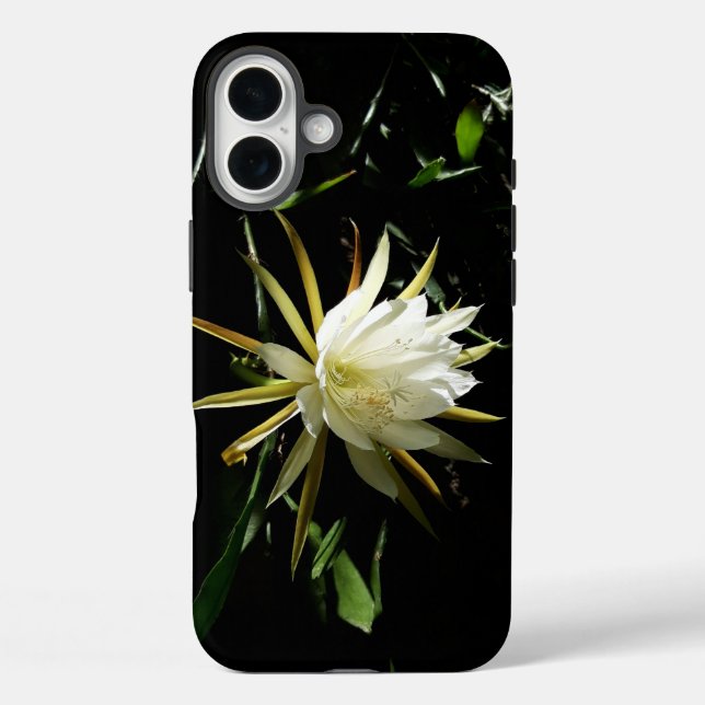 Cactus Bloom iPhone 16 Plus Hülle (Rückseite)