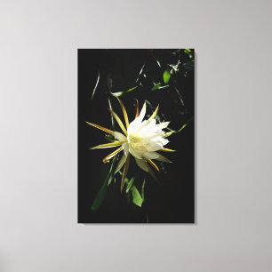 Cactus Bloom Leinwanddruck