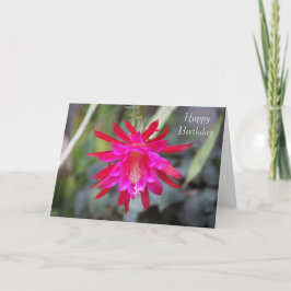 Cactus Blume Birthday Card Karte